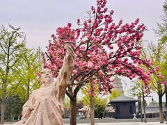 -大雁塔文化休闲景区-北广场