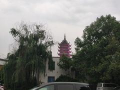 -生宇山珍野生菌汤锅•始于1999(双流古塔店)