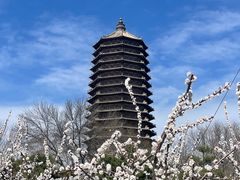 -玲珑塔公园