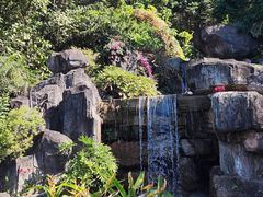 -广州神农草堂中医药博物馆