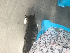 -左撇子私房面