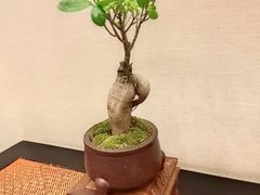 -王府茶宴(大观园总店)