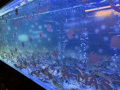 -白仁仔· 活烤海鲜 宵夜(豫园店)