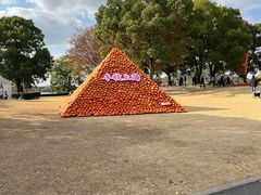 -上海月湖雕塑公园