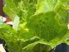 -福合埕牛肉丸(福平路店)
