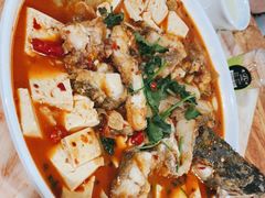 -煲来饱去冷水鱼
