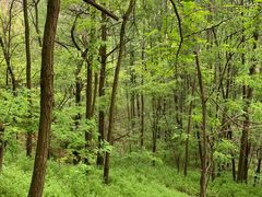 -渭南桃花源民俗文化园