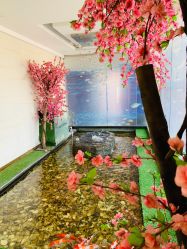 -石家庄苏亚美联臣医疗美容医院