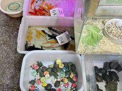 -双季花艺园艺市场(浦东店)