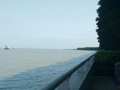 -大湾区中央湿地公园