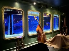-武汉知音号