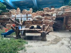 -石家庄市动物园