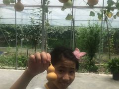 -马陆小张葡萄园农家乐