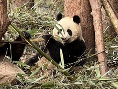 -烤匠麻辣烤鱼(万象城店)