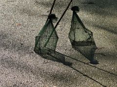 -渌洋湖湿地公园