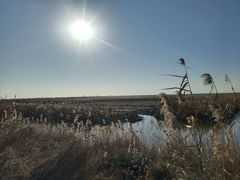 -盐城丹顶鹤湿地生态旅游区