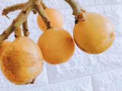 -媛媛家秘制鸡丝凉皮(陆慕店)