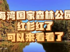 -上海海湾国家森林公园