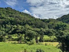 -孔雀湖生态旅游区