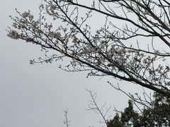 -中华贤母园-陶渊明纪念馆