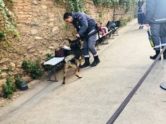 -阿尔罕布拉宫