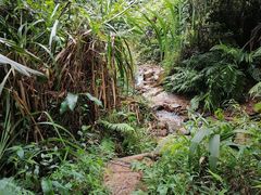 -广州市白云山风景名胜区