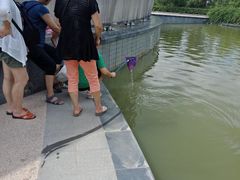 -吴淞炮台湾湿地森林公园烧烤区