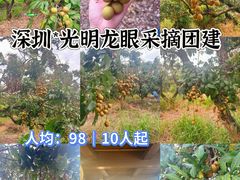 -光明小镇欢乐田园