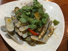 炒蛏子-金雨烧烤(新城南都店)