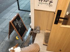 -海椒市落舌·麻辣烫冒菜(晶融汇店)