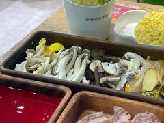 -菌小白·野生菌火锅(时尚天河店)