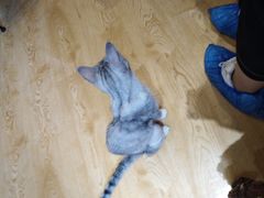 -万小咖.猫咖(中山路天虹店)