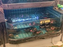 -阿娘家·原生态农家菜(国顺东路店)