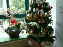 -爱贝口腔·牙周诊疗·种植修复中心