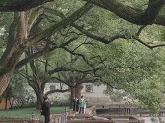 -西园戒幢律寺