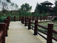 -长兴太湖图影湿地文化园