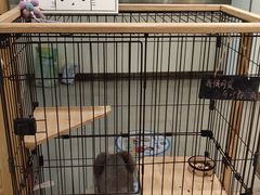 -iF摄影•全家福•证件照•形象照(南山店)