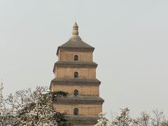 -大慈恩寺(大雁塔)