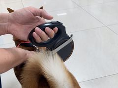 -美联众合动物医院·24h京西诊疗中心