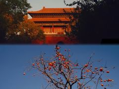 -故宫博物院(故宫)