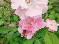 -白鹭湾湿地公园