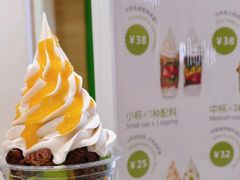 -Salud撒露欧洲冻酸奶(蓝色港湾店)