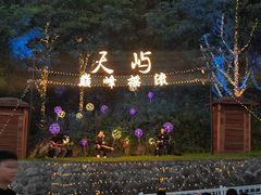-千岛湖天屿景区