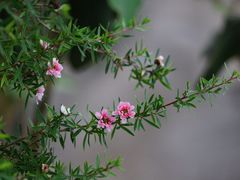 -华南国家植物园-售票处