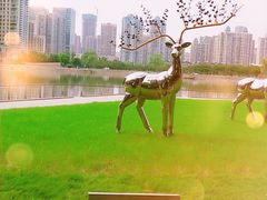 -西北湖绿化广场