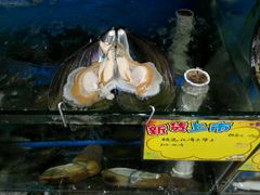 -蚝专家(北滘店)
