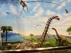 -辽宁古生物博物馆