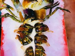 -捞围鲜·港式打边炉(海阳路店)