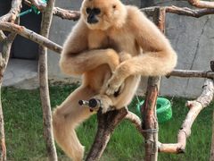 -杭州野生动物世界
