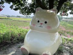 -江苏三台山国家森林公园